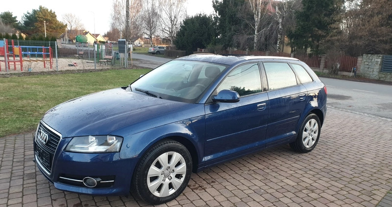 Audi A3 cena 31999 przebieg: 260569, rok produkcji 2010 z Piotrków Kujawski małe 781